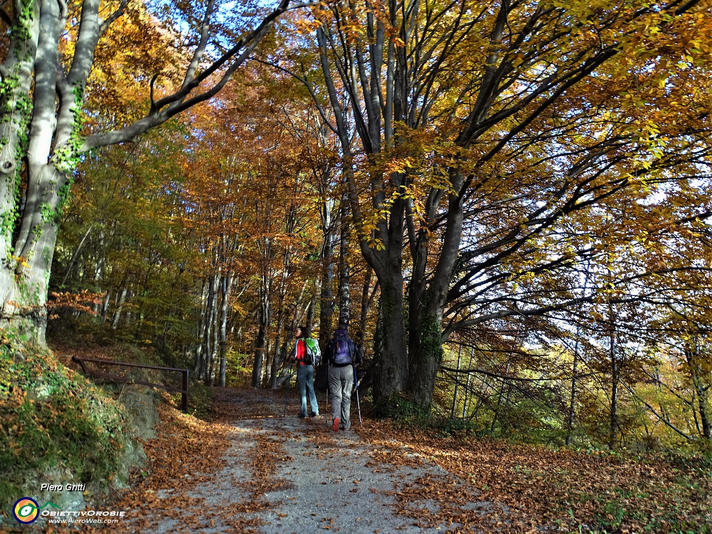 10 Sul sent. 136 colorato d'autunno per il Passo di Grialeggio.JPG